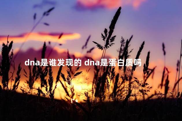 dna是谁发现的 dna是蛋白质吗